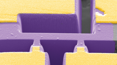 Headerbild mit Strukturen aus der Elektronenmikroskopie